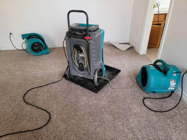 Best Water damage cleanup near me  in Alamae, NC