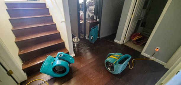 Best Water damage restoration near me  in Alamae, NC