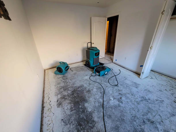 Best Flood restoration services  in Alamae, NC