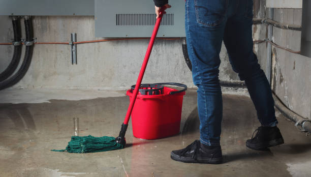 Best Basement water damage restoration  in Alamae, NC