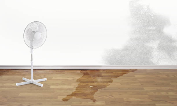Best Water damage restoration near me  in Alamae, NC