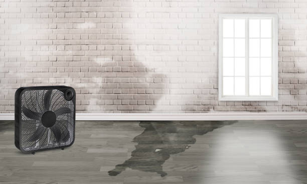 Best Emergency water damage restoration  in Alamae, NC