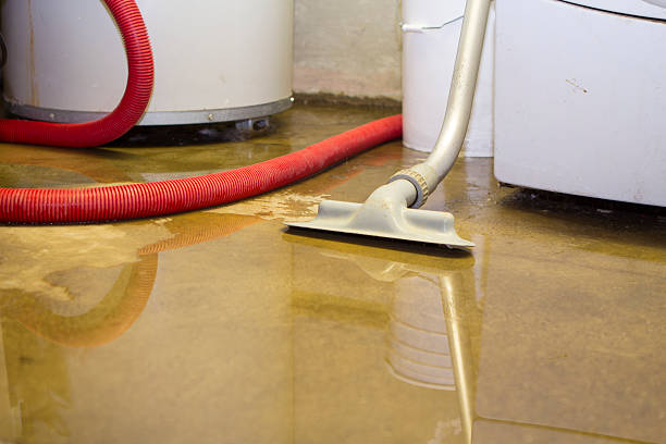 Best 24/7 water damage repair  in Alamae, NC