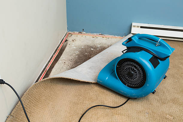 Best Water damage restoration experts  in Alamae, NC